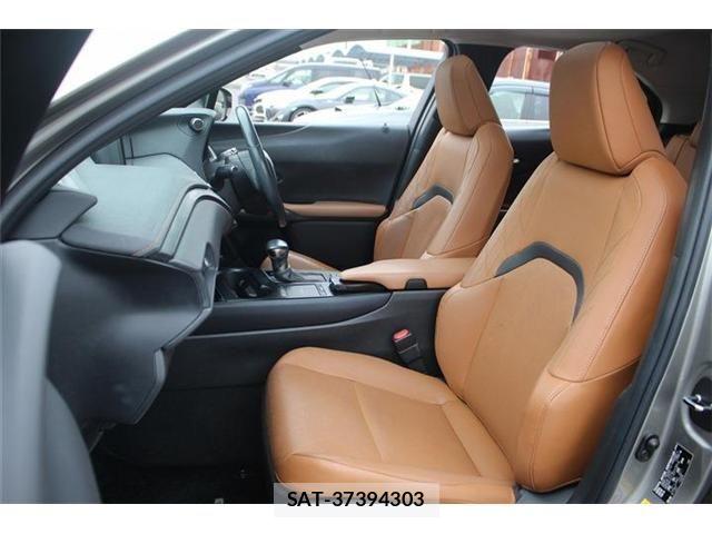 Lexus UX 2019-03 5871228-19