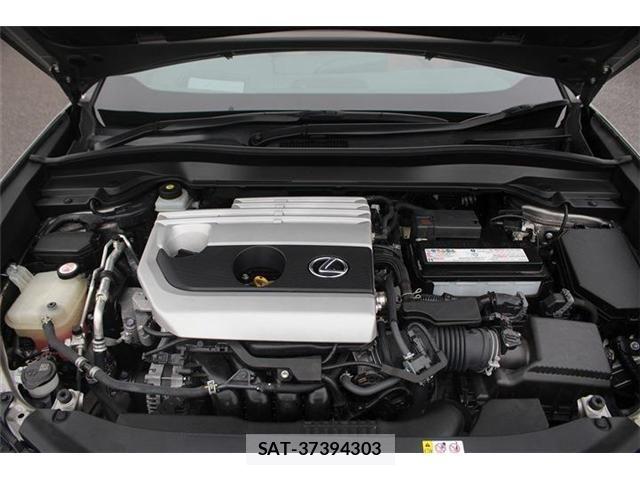 Lexus UX 2019-03 5871228-29
