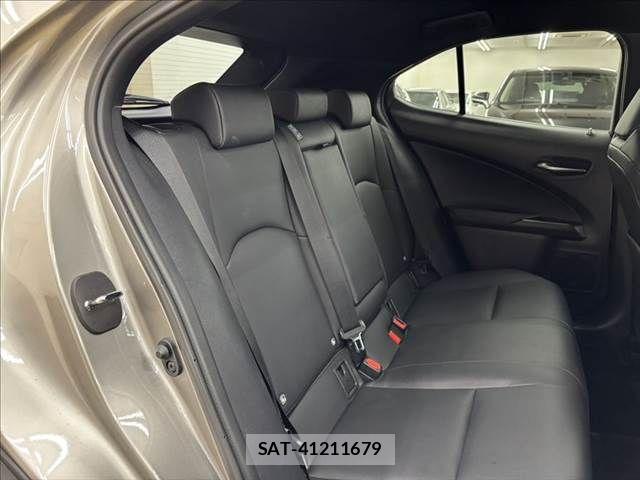 Lexus UX 2019-03 6499695-7