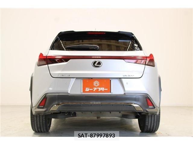 Lexus UX 2019-03 6907879-10