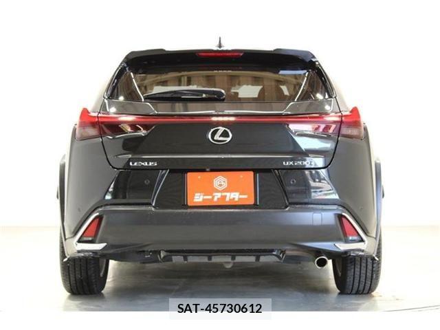 Lexus UX 2018-12 6995248-10