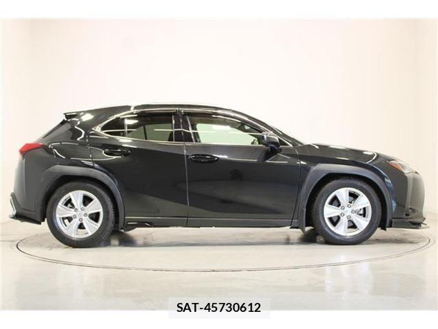 Lexus UX 2018-12 6995248-12
