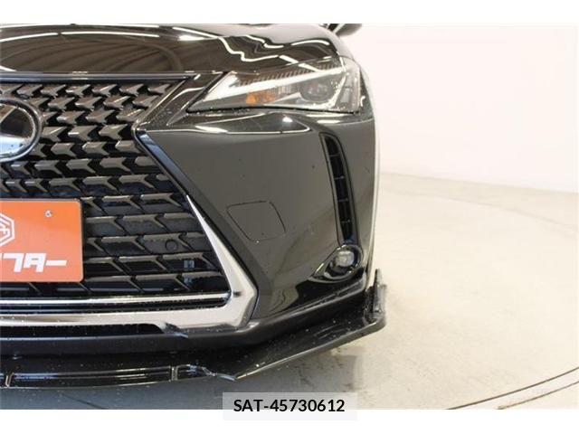 Lexus UX 2018-12 6995248-13
