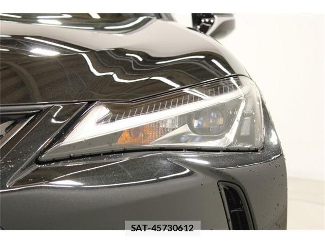 Lexus UX 2018-12 6995248-14