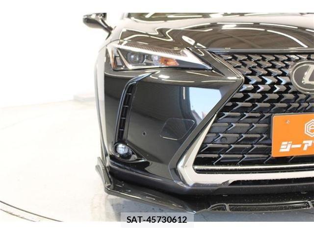 Lexus UX 2018-12 6995248-15