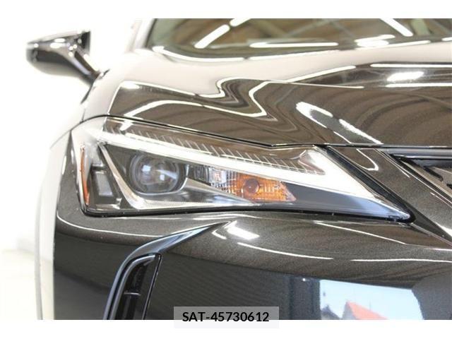 Lexus UX 2018-12 6995248-16
