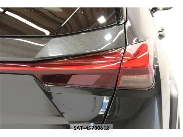 Lexus UX 2018-12 6995248-17