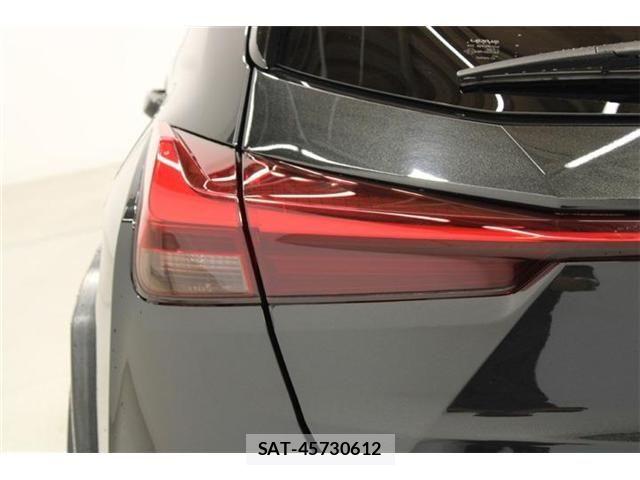 Lexus UX 2018-12 6995248-18