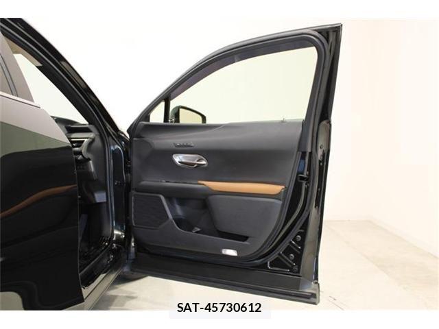 Lexus UX 2018-12 6995248-28