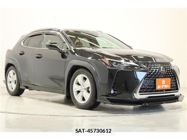 Lexus UX 2018-12 6995248-5