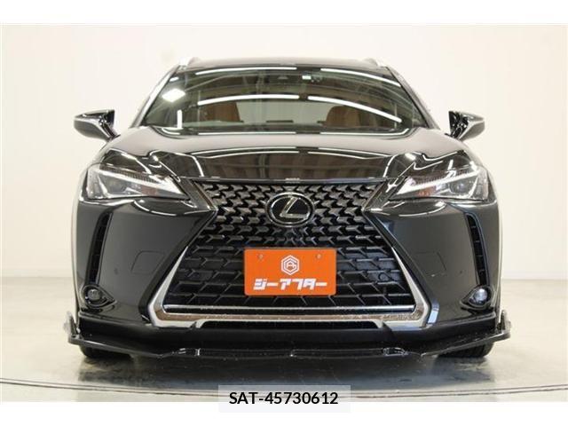 Lexus UX 2018-12 6995248-6