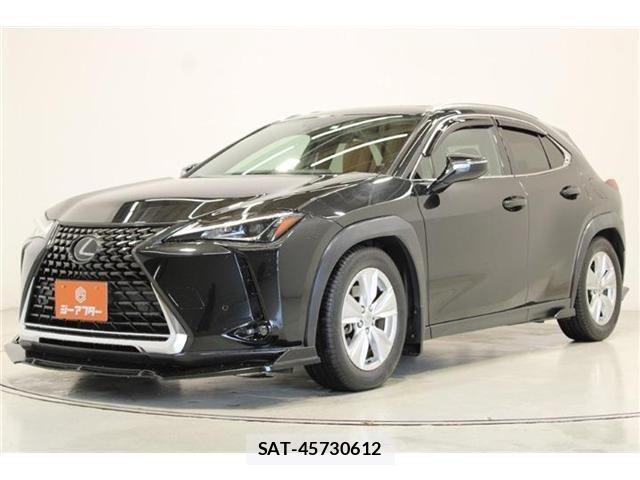 Lexus UX 2018-12 6995248-7