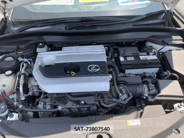 Lexus UX 2018-11 7020802-23