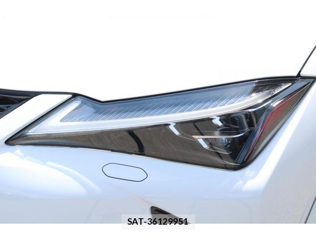Lexus UX 2019-04 7221181-13
