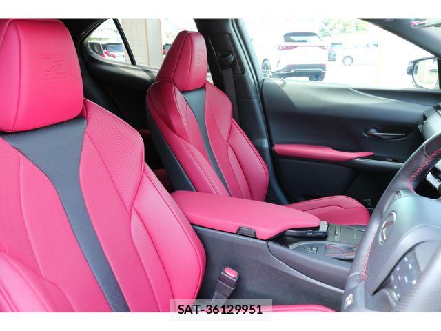 Lexus UX 2019-04 7221181-16