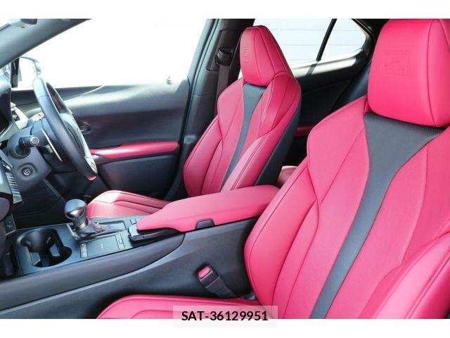 Lexus UX 2019-04 7221181-18