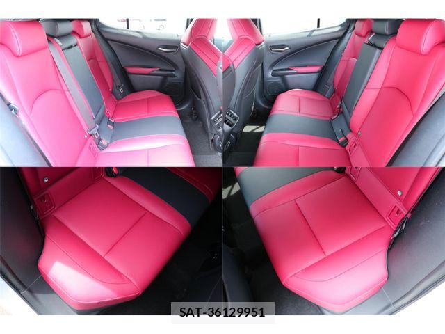 Lexus UX 2019-04 7221181-21