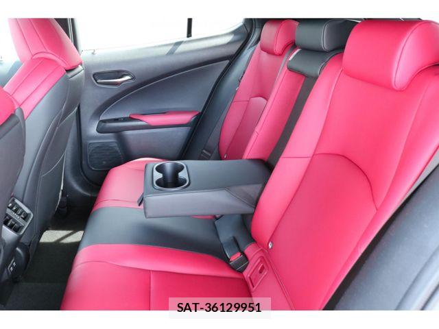 Lexus UX 2019-04 7221181-22