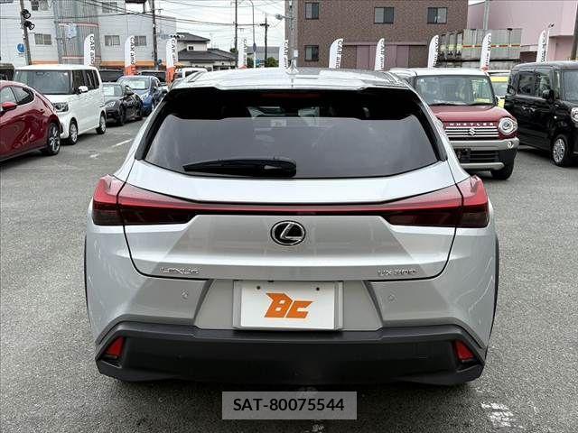 Lexus UX 2019-08 7221176-13