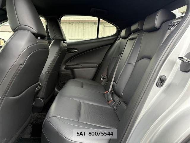 Lexus UX 2019-08 7221176-18