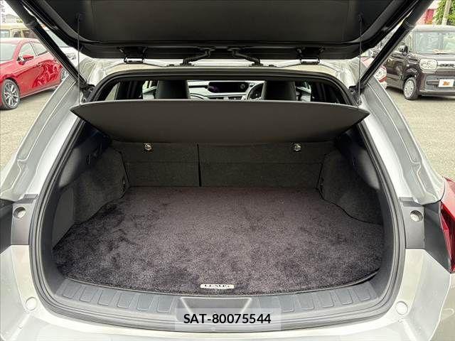 Lexus UX 2019-08 7221176-19
