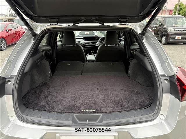 Lexus UX 2019-08 7221176-20