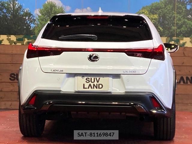 Lexus UX 2019-02 7251378-14
