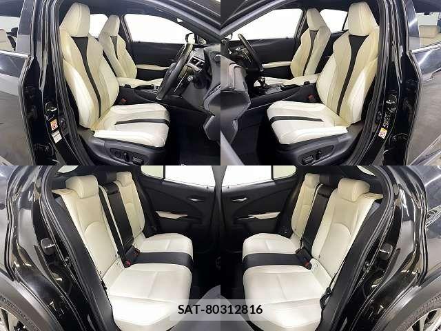 Lexus UX 2019-06 7272250-7