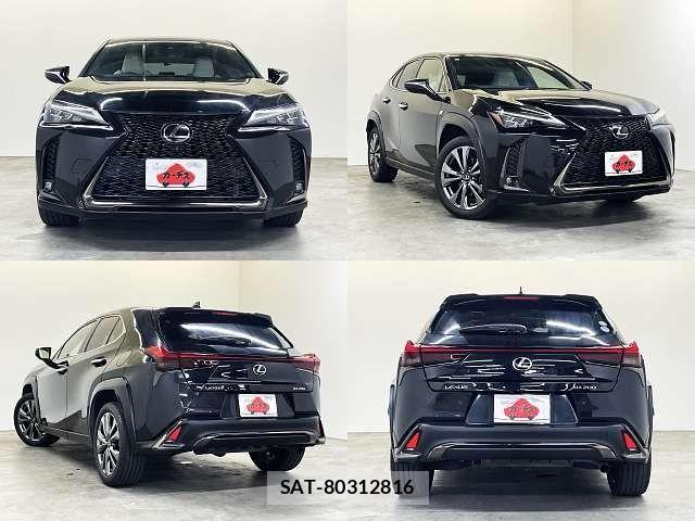 Lexus UX 2019-06 7272250-8