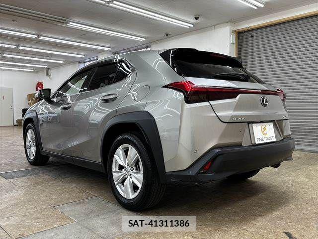 Lexus UX 2019-03 7358581-18