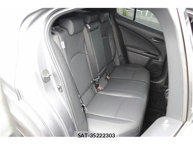 Lexus UX 2021-05 7392713-15