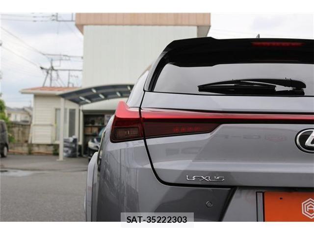 Lexus UX 2021-05 7392713-27