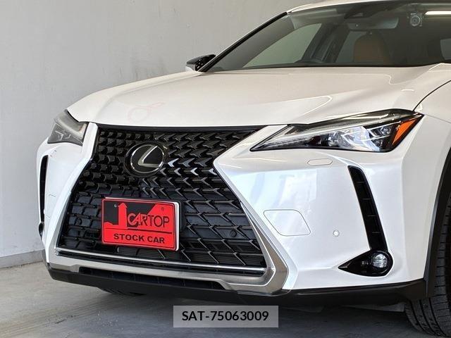 Lexus UX 2019-08 7617759-5
