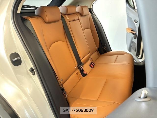 Lexus UX 2019-08 7617759-8