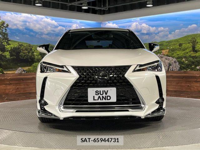 Lexus UX 2019-10 7725226-13