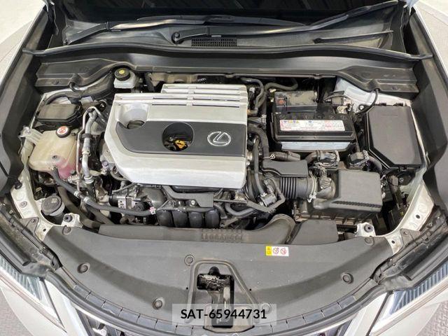 Lexus UX 2019-10 7725226-17