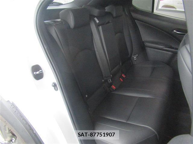 Lexus UX 2019-04 7786667-12