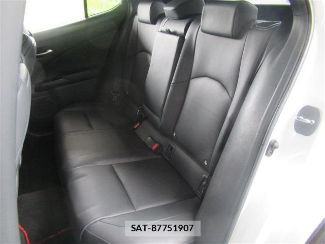 Lexus UX 2019-04 7786667-14