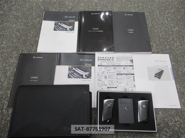 Lexus UX 2019-04 7786667-19