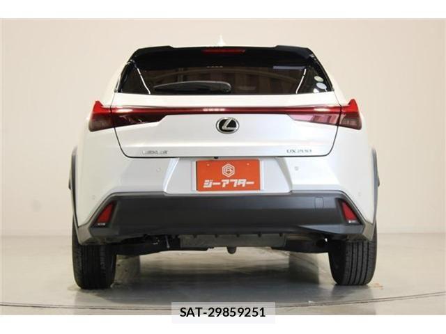 Lexus UX 2020-03 7877467-10