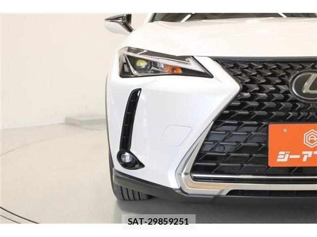 Lexus UX 2020-03 7877467-15