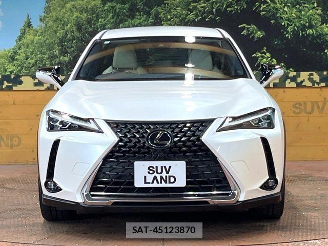 Lexus UX 2020-05 7962477-13
