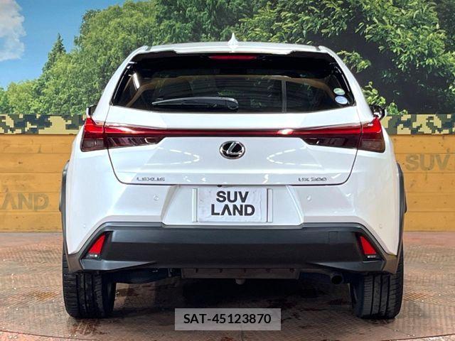 Lexus UX 2020-05 7962477-14