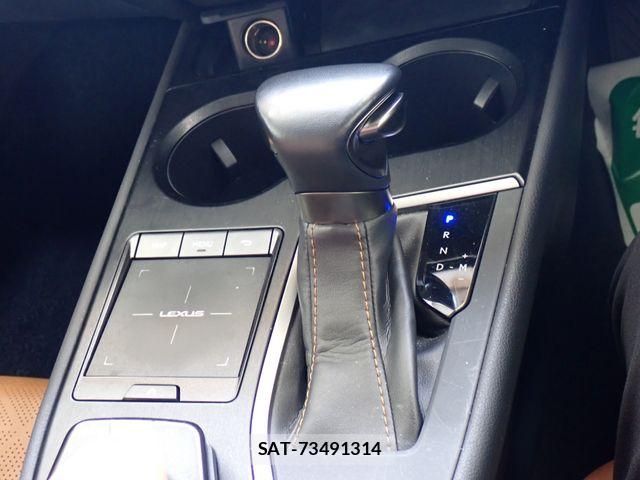 Lexus UX 2018-11 7979812-16
