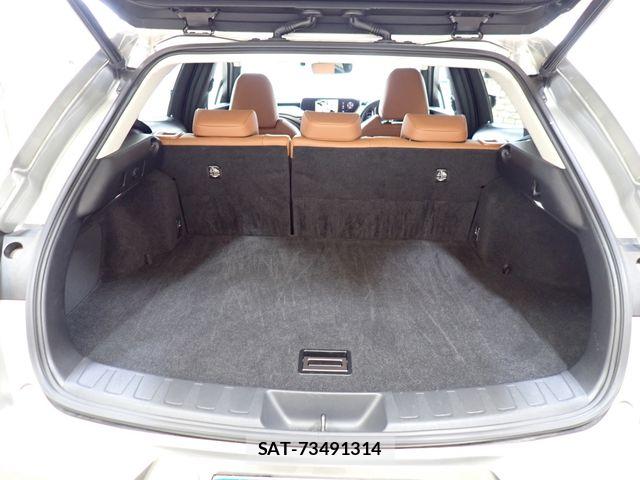 Lexus UX 2018-11 7979812-26