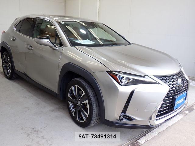 Lexus UX 2018-11 7979812-3
