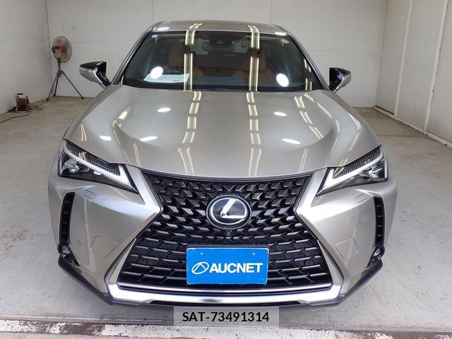 Lexus UX 2018-11 7979812-4