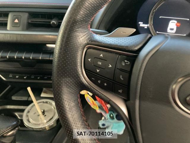 Lexus UX 2018-12 7979814-23