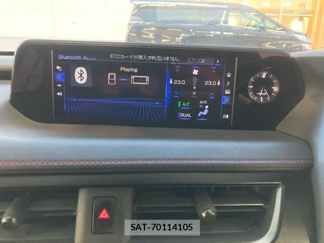 Lexus UX 2018-12 7979814-26