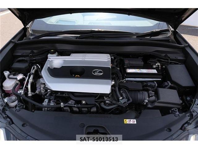 Lexus UX 2021-02 8100222-18